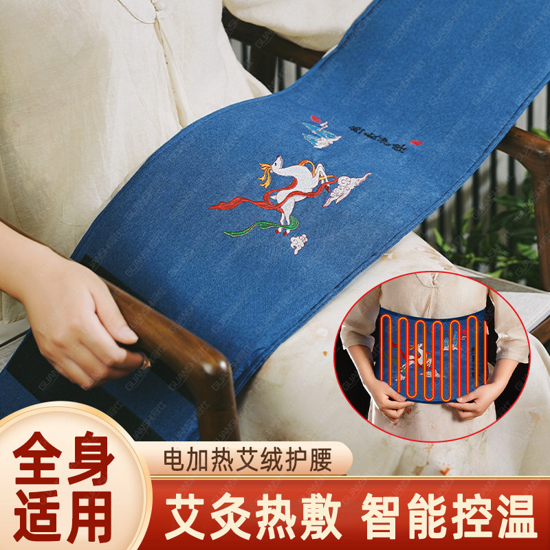 电加热艾灸热敷理疗仪全身家用控温腰椎间盘突出艾绒发热护腰带dl