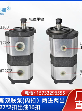 小龙王 铂金斯 玉米收割机齿轮泵液压双联泵CBX-E31608 E320/E316