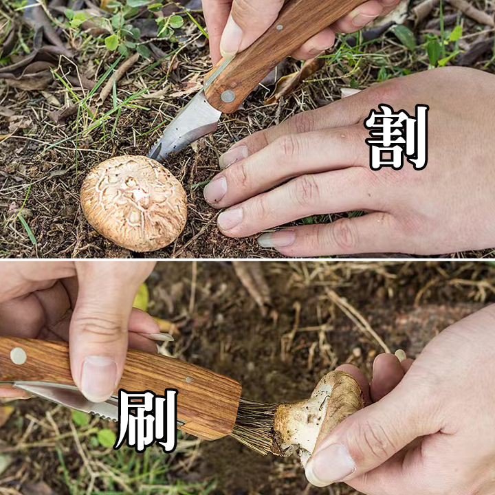 捡菌捡蘑菇神器花木柄折叠蘑菇刀带刷子多功能采蘑菇刀便携求生刀