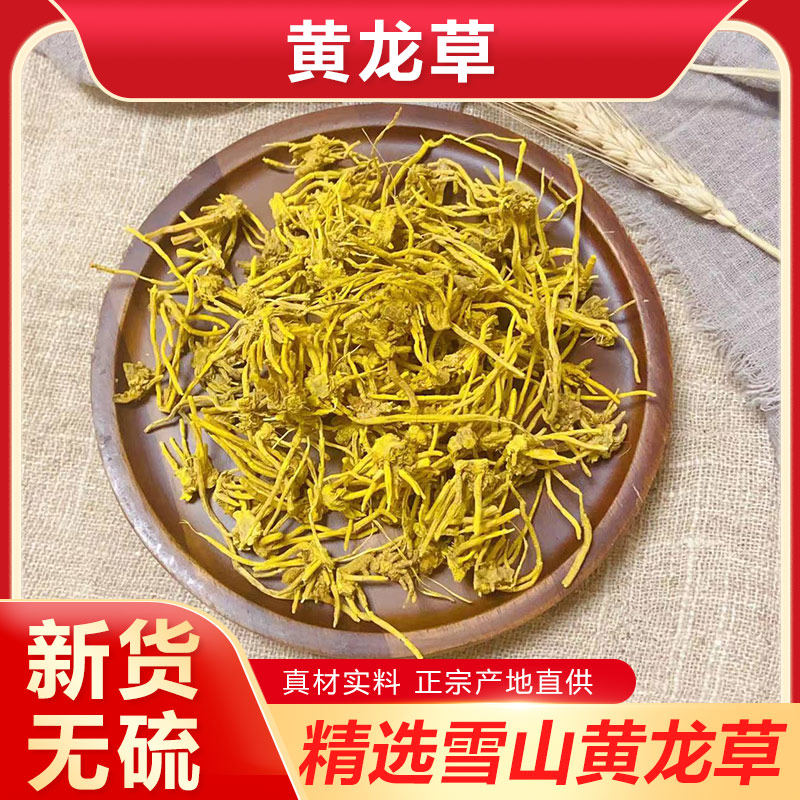 正宗特级青藏高原雪山黄龙草根头含须条野生根茎龙须草根茶中药材