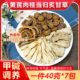 黄芪肉桂当归炙甘草组合茶包甲碱减调理脾肾阳嘘煮水泡茶喝中药材
