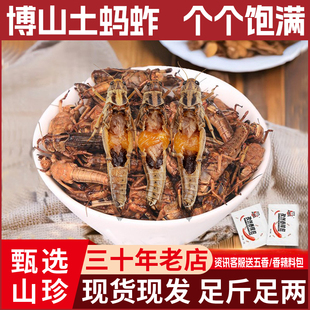 新鲜土蚂蚱全母带籽去翅大个飞蝗虫高蛋白活体速冻油炸烧包邮