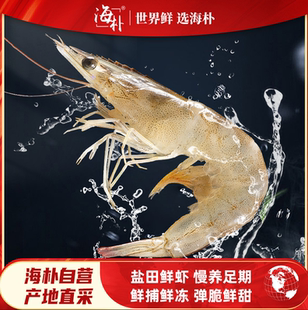 【海朴】渤海湾盐田虾750g*2盒（40-50只/斤鲜捕活冻辽宁盐田鲜虾