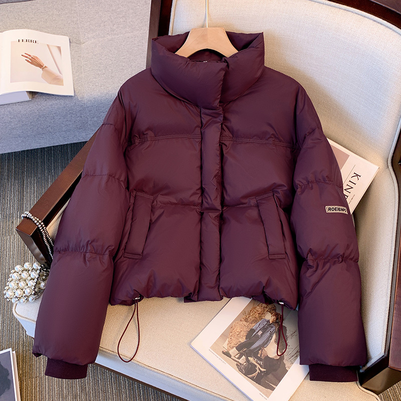 绛紫色肯豆风立领短款加厚羽绒服
