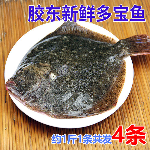 鲜活多宝鱼冷冻比目鱼特大鸦片鱼鲽鱼海鲜水产整条菱鲆鱼海鱼商用