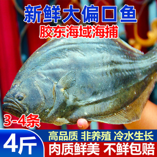 新鲜比目鱼偏口鱼鲽鱼4斤大菱鲆多宝鱼牙片鲆鱼龙利鱼冷冻商用