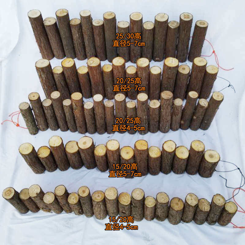 实木树桩 圆木篱笆木桩 原木隔栏 杉树桩 木段 婚礼摆件小木墩子