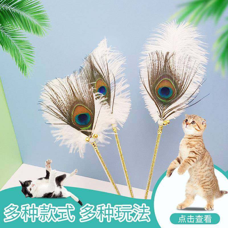 鸵鸟毛孔雀羽毛仙女逗猫棒仙女棒带铃铛幼猫玩具猫咪用品,宠物/宠物食品及用品,宠物智能玩具,淘宝优惠券,粉丝福利购,淘宝优惠卷