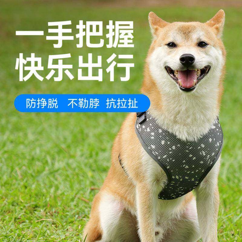 宠物胸背带牵引绳反光狗绳子小型犬中型犬泰迪比熊博美反光透气,宠物/宠物食品及用品,狗牵引绳,淘宝优惠券,粉丝福利购,淘宝优惠卷