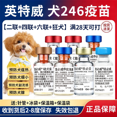 英特二四六联进口疫苗犬瘟细小