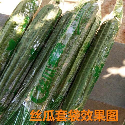 闽兵牌丝瓜套袋黄瓜角瓜专用套袋防虫保护套袋果实蝇防水套塑料袋