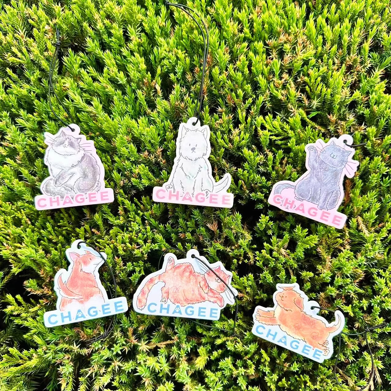 霸王茶姬宠物香卡茶味香氛片