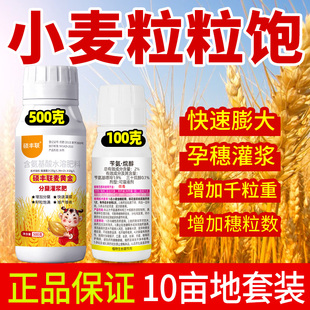 小麦专用麦黄金新型膨大剂苄氨烷醇促进籽粒饱满高效增产神器组合