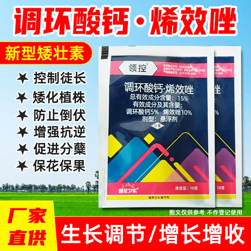 调环酸钙烯效唑水稻果树土豆生长调节剂控旺促分蘖抗倒伏植株壮苗