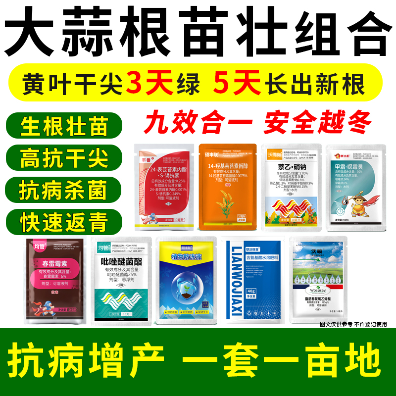 硕丰联大蒜专用根苗壮增产防冻套餐组合蒜苗旺干尖黄叶死苗烂根药