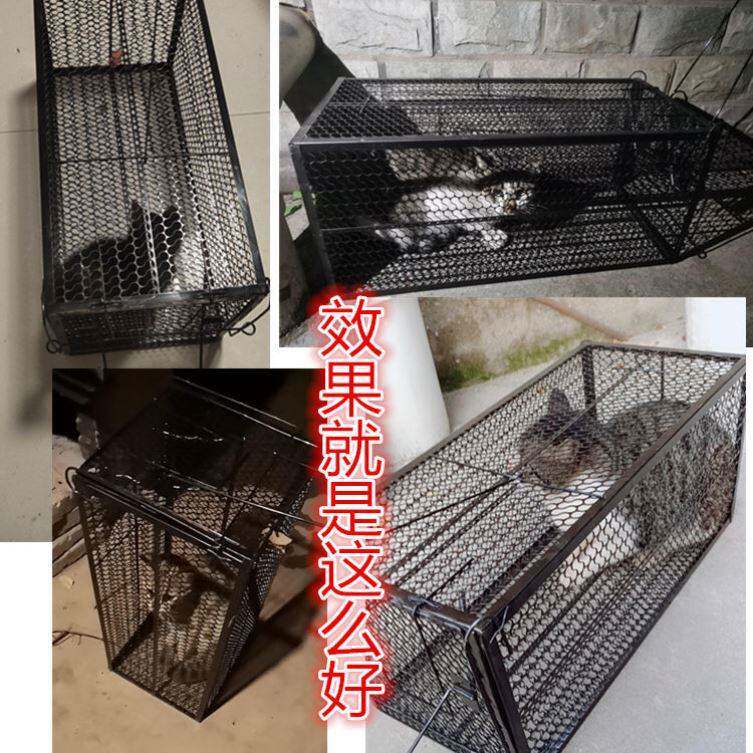 捕猫笼全自动超大号寻猫笼人道救助抓猫笼子家用多功能捕猫神器诱