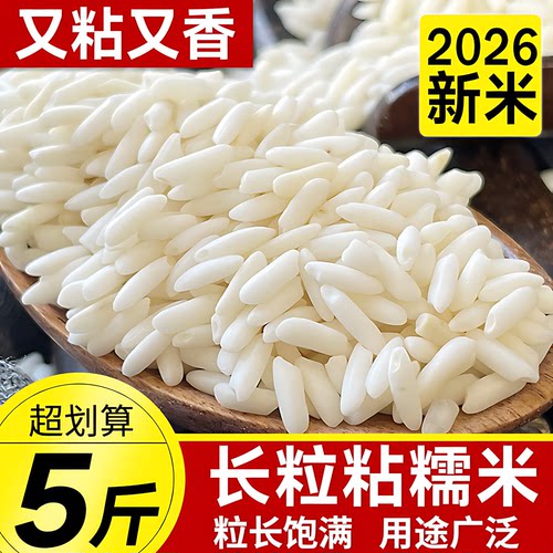 泰国长粒糯米新米包粽子酿酒用