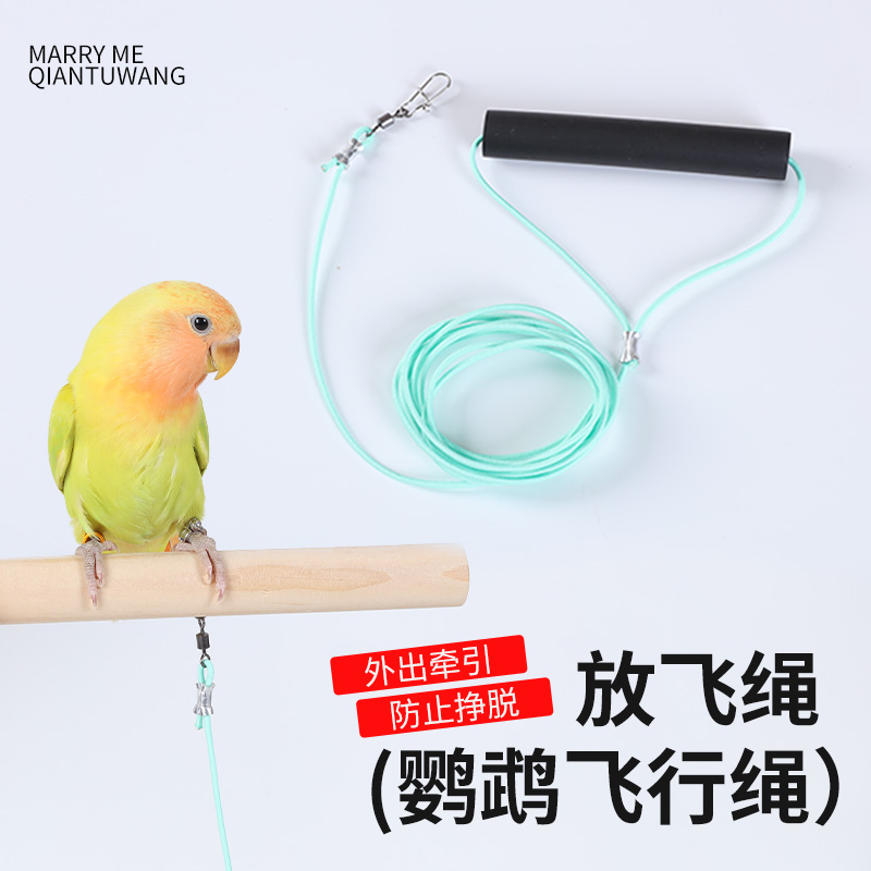 鹦鹉放飞绳不伤脚超轻训练绳虎皮牡丹玄凤八哥脚环脚链遛鸟飞行绳