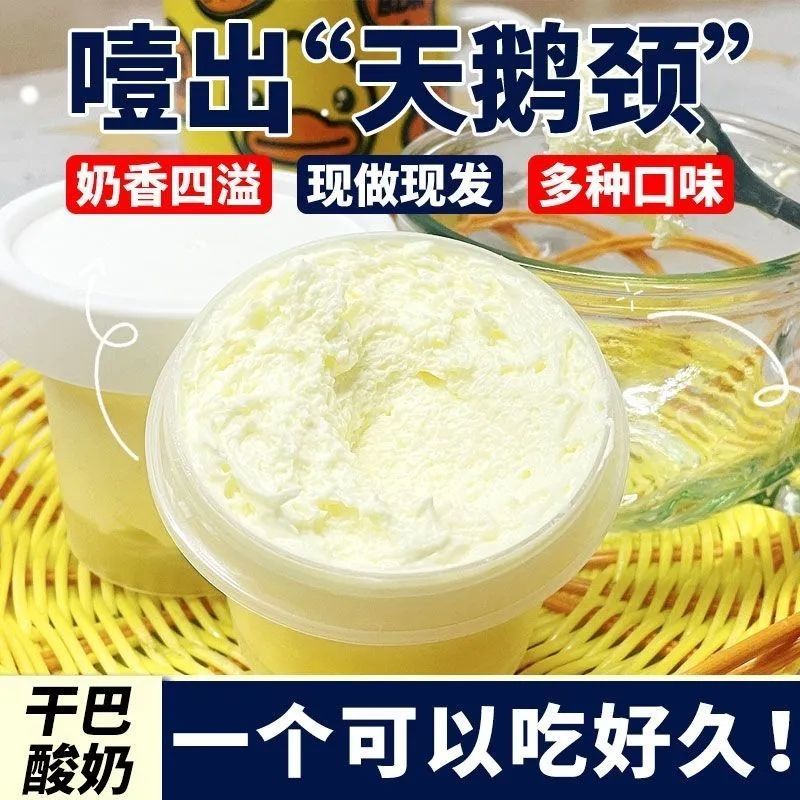 新货干巴酸奶冷萃干噎希腊厚切石膏酸奶疙瘩固体奶酪鲜牛乳罐子蛋