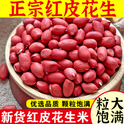 东北特产有机红衣花生米生新货补血农家高产种红皮花生官方旗舰店