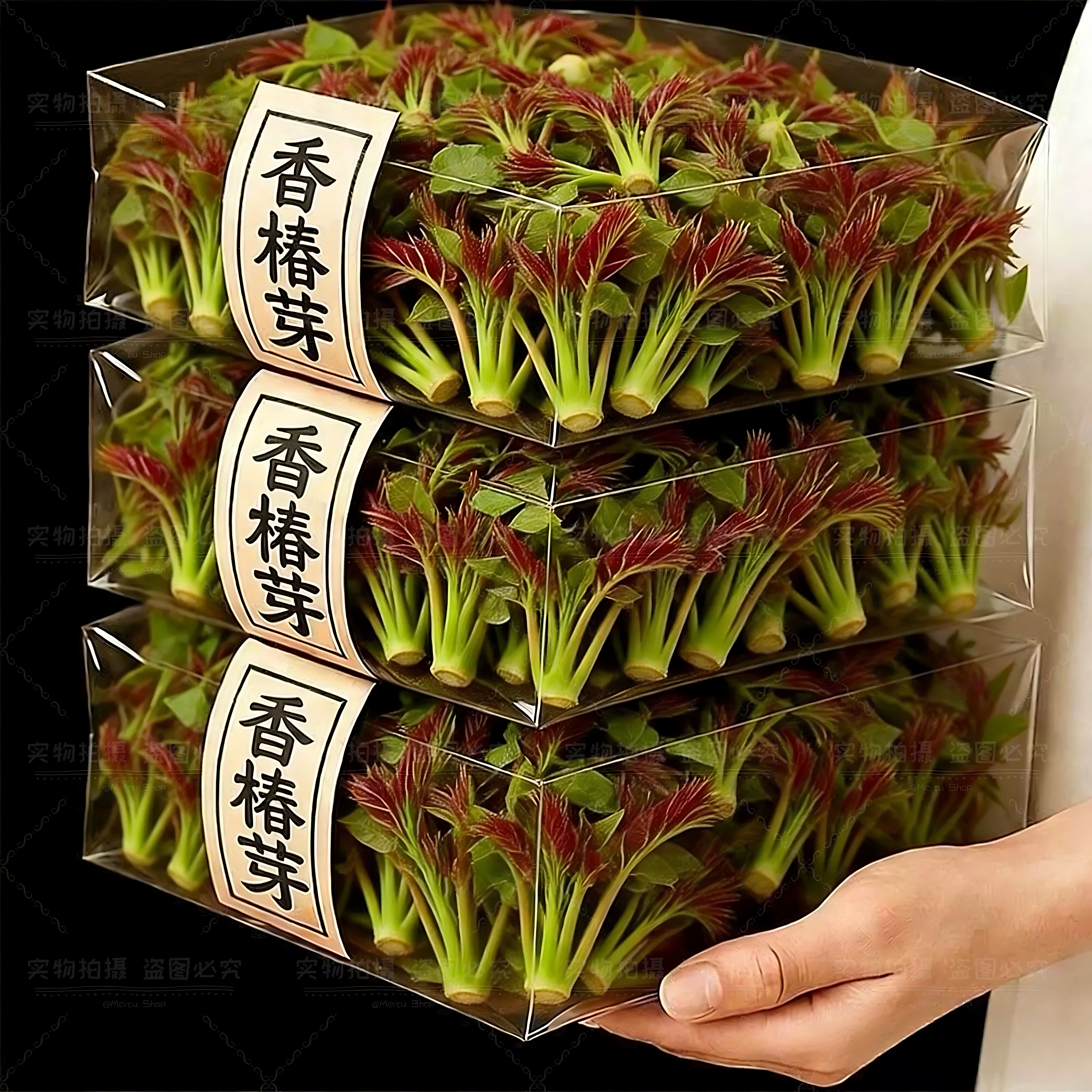 头茬嫩香椿芽26年新鲜腌制椿芽图片