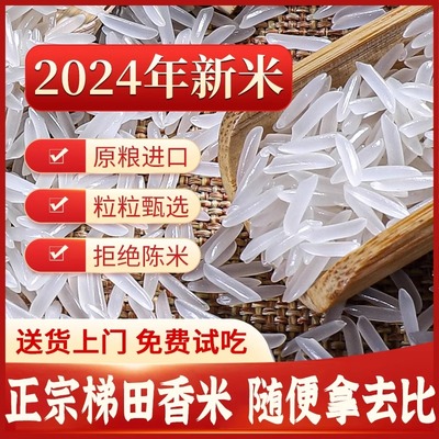 正宗贵州梯田长粒香米官方旗舰店五10斤装常象牙新高山大米猫牙米