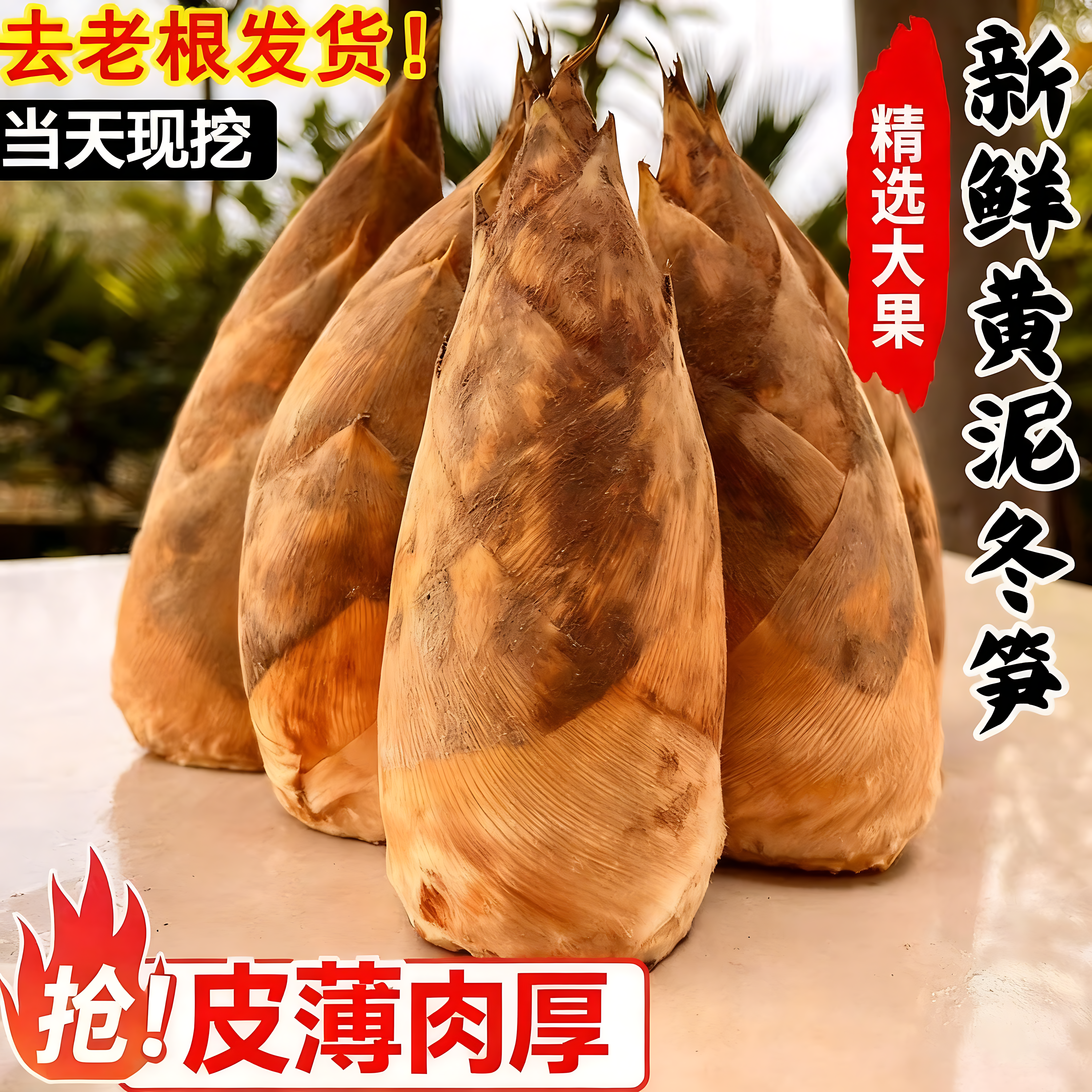 2025大冬笋野生黄泥新鲜现挖5斤浙江临安天目农家春笋大楠毛竹笋
