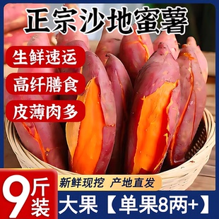 红薯10斤沙地蜜薯新鲜西瓜红蜜薯山东烟薯25号现挖现发番薯烤蜜薯