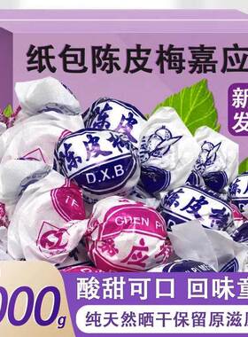 正宗广东特产纸包陈皮梅嘉应子蜜饯李子蜜饯果脯休闲办公散装零食