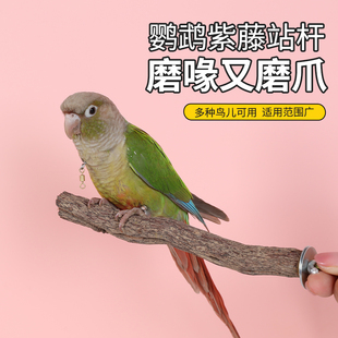 新款鹦鹉树枝站杆天然树藤造景鸟笼装饰站棍木和尚小太阳栖息棒