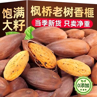 枫桥香榧子浙江诸暨特产老树香妃2026年新货特大颗粒原味开口坚果