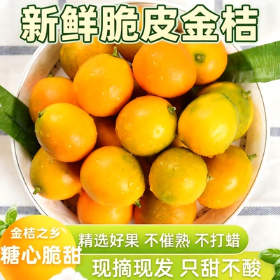 广西融安脆皮金桔正宗官方旗舰店新鲜水果现摘小金柑橘子当季大果