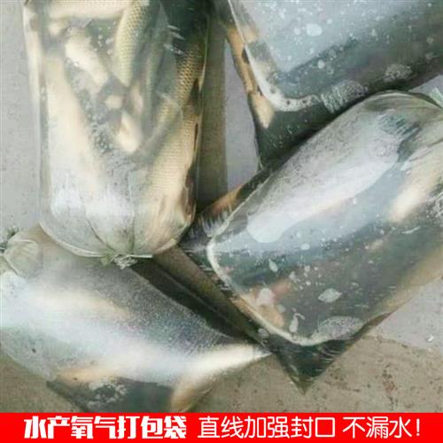 活鱼充氧气打包袋装活鱼苗水产海鲜专用打氧塑料袋卖鱼运输充氧袋