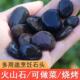 做石头饼专用 石子鹅软石黑色鹅卵石耐高温石头木桶鱼火山烧烤石