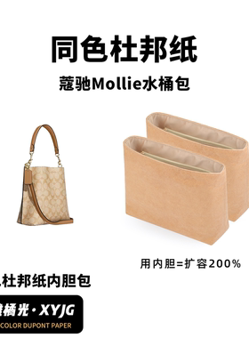 DGAZ汐雅橘光适用于蔻驰coach茉莉mollie水桶包同色杜邦纸内胆包