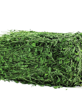 苜蓿草烘干牧草毛重1公斤包邮