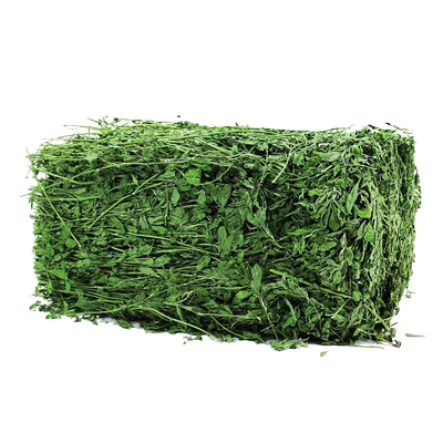 苜蓿草烘干牧草毛重1公斤包邮