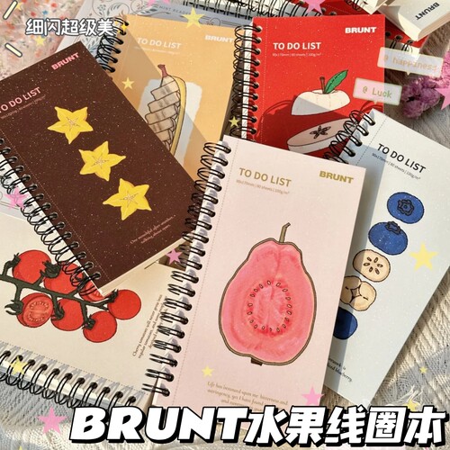 BRUNT水果todolist线圈计划本