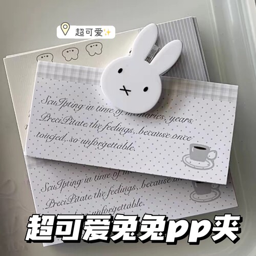 小红书同款兔兔PP夹学生收纳品