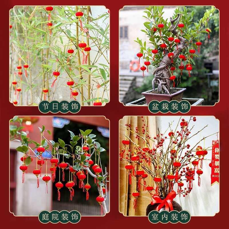 发财植物竹庆家家居挂件盆栽树挂饰品富贵室内盆景挂饰树上绿植i.