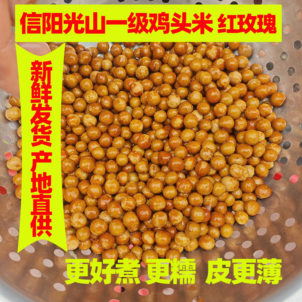 信阳光山砖桥鸡头米500g