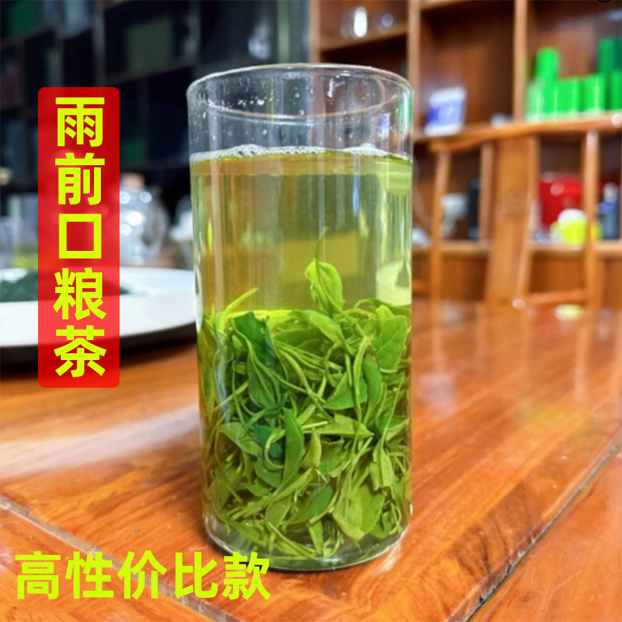 2026年信阳毛尖雨前口粮茶浓香型