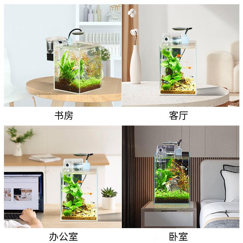 创意生态鱼缸超白造景懒人微景观DIY室内客厅迷你生态瓶免换水