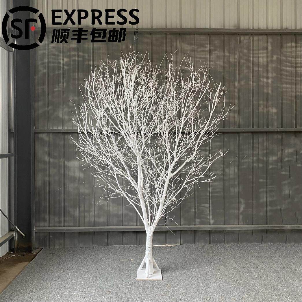 新疆包邮白色树干枝树干许愿树橱窗装饰树枝酒店庭院枯树真杆婚庆