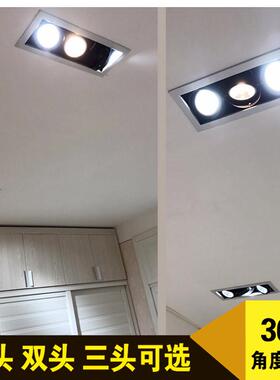 led斗胆灯双眼格栅灯12w15w商场单三头AR111两孔cob豆胆天花射灯