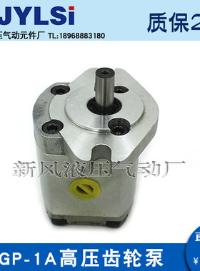 高压齿轮泵HGP-1A-F1R/F2R/F3R/F4/F5R/F6R/F8R 1A-F6-RX2B RX4B