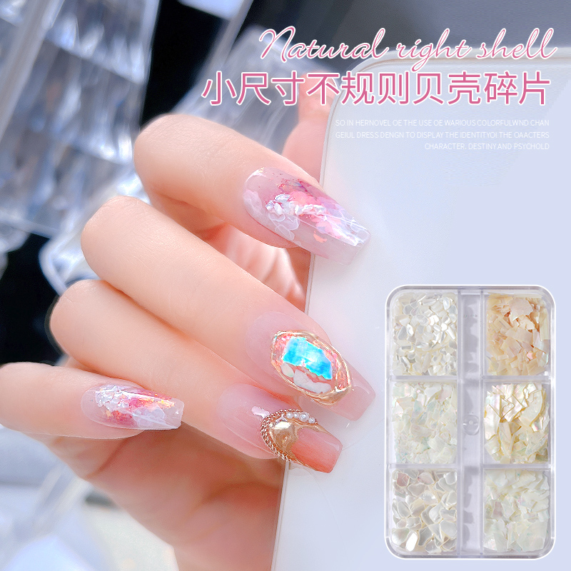Limitpretty6个细贝壳片