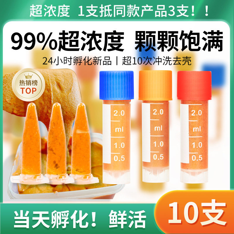 脱壳丰年虾卵可孵化冷冻鱼食孔雀鱼水母斑马小型鱼饲料鱼苗喂食器