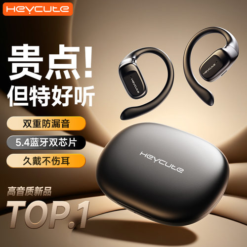 【新品高音质热销N0.1】柏林之声