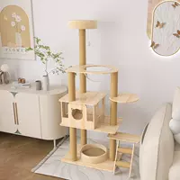 Мультикошачий мяу рай